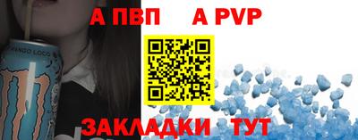 гашик Тара