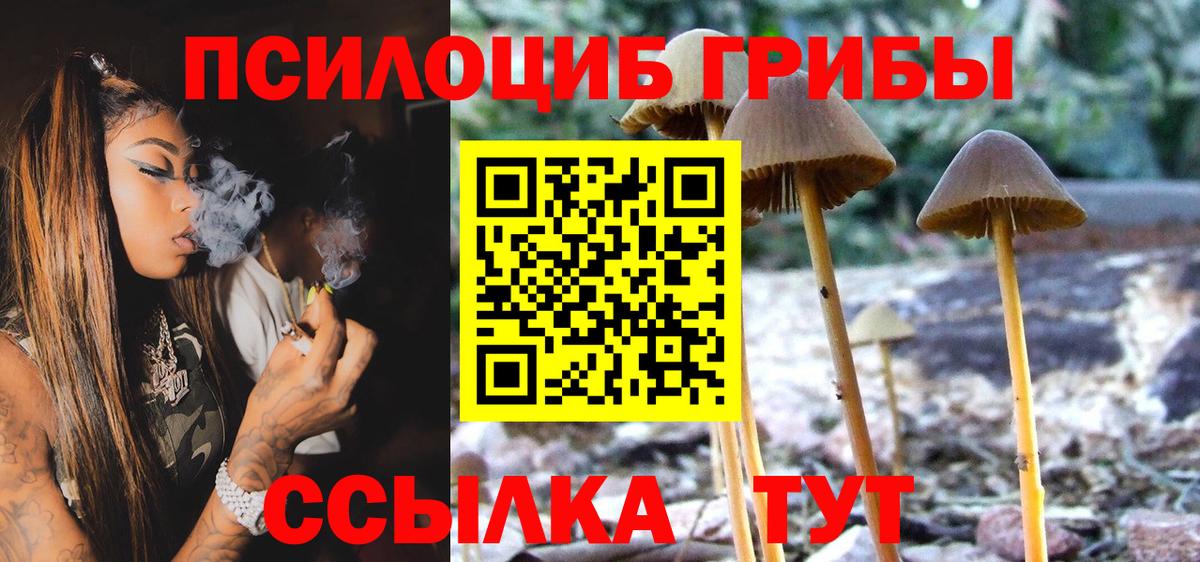 Псилоцибиновые грибы Magic Shrooms  Ачхой-Мартан 