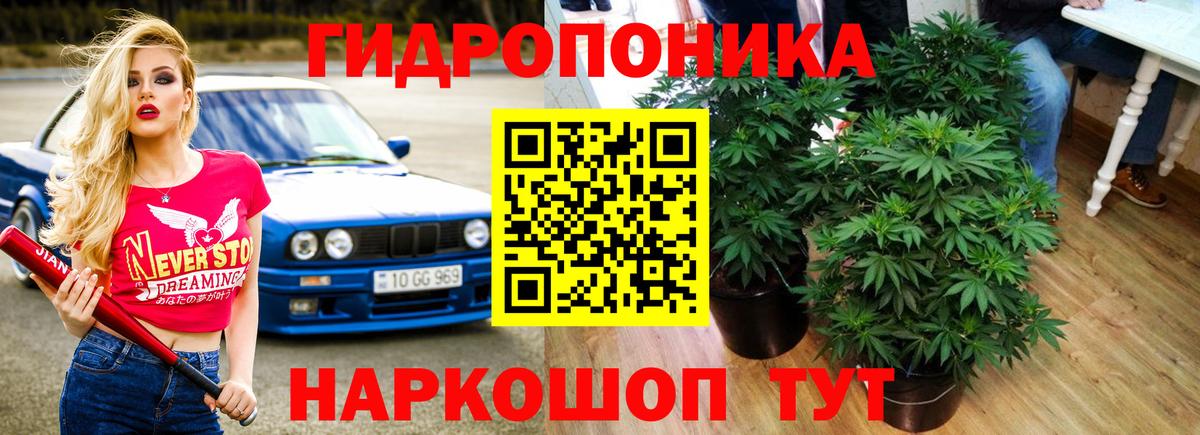 Конопля индика  Канабис Bruce Banner  Вход с VPN  Шишки марихуана сатива  Ачхой-Мартан 